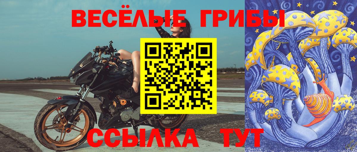 Галлюциногенные грибы Magic Shrooms  Псилоцибиновые грибы Psilocybe  Вход с VPN  Кимры 